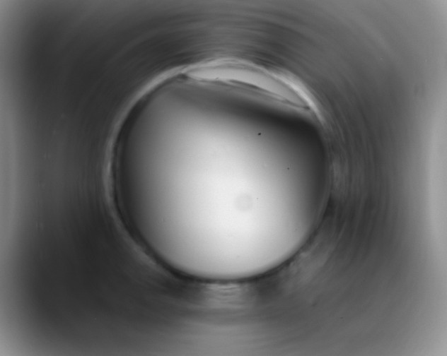 X0000089891142200707192010