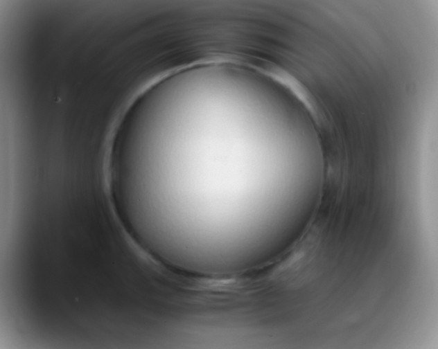 X0000089891143200707192010