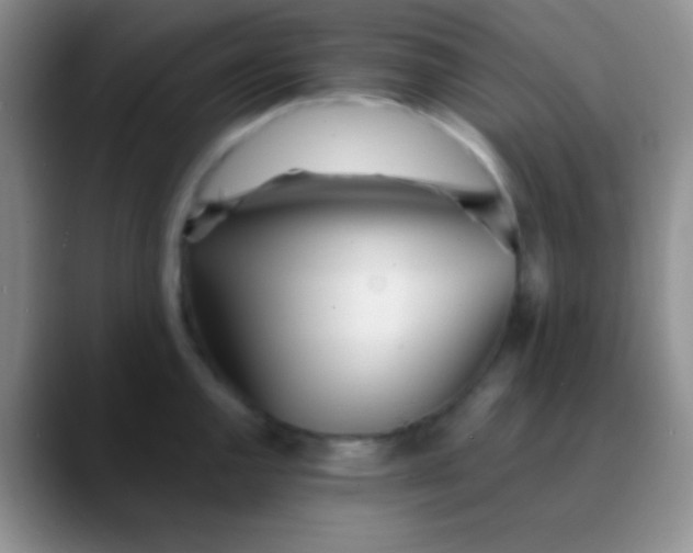 X0000089891144200707192010