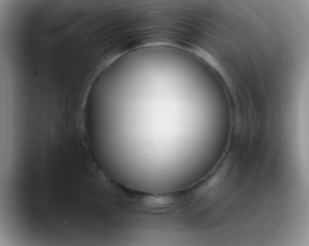 X0000089891145200707192010