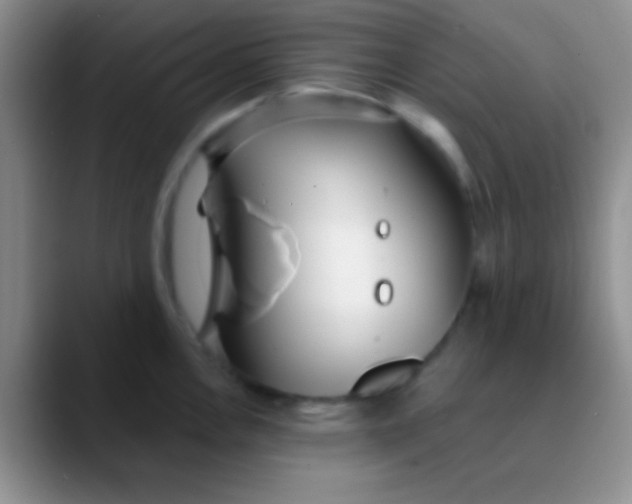 X0000089891146200707192010