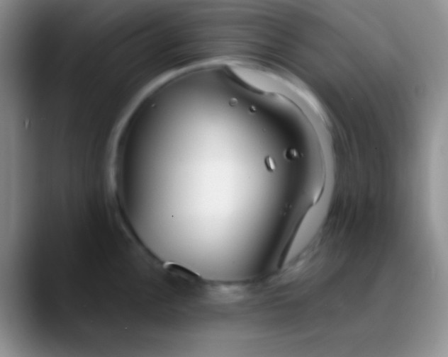 X0000089891148200707192010