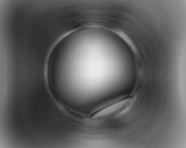 X0000089891149200707192010