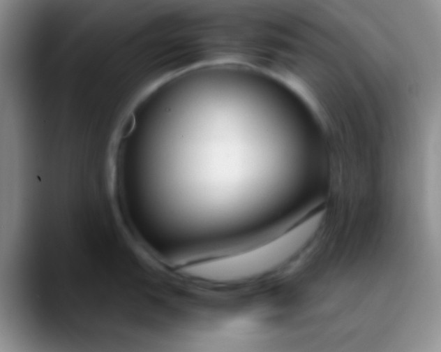 X0000089891151200707192010