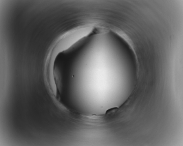 X0000089891152200707192010