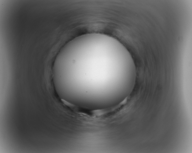 X0000089891153200707192009