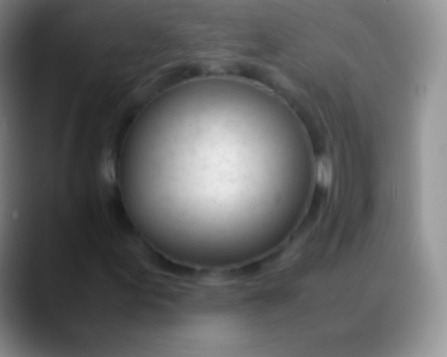 X0000089891155200707192009