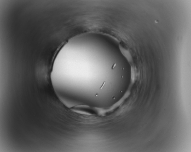 X0000089891156200707192009