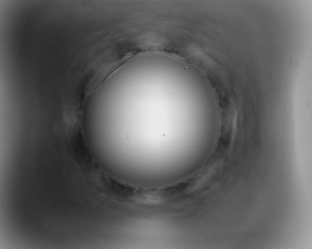 X0000089891157200707192009