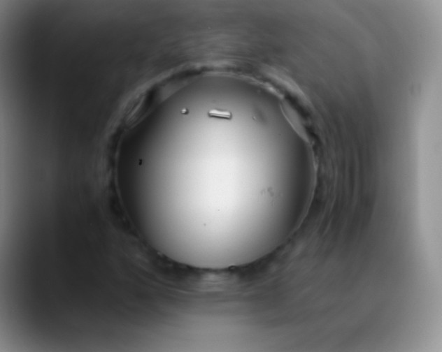 X0000089891160200707192009