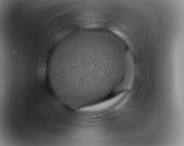 X0000089891161200707192009