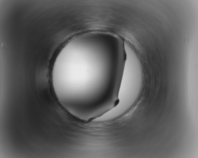 X0000089891164200707192009