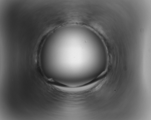 X0000089891165200707192009