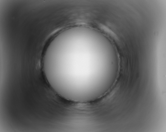 X0000089891166200707192009