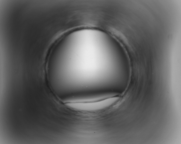 X0000089891168200707192009