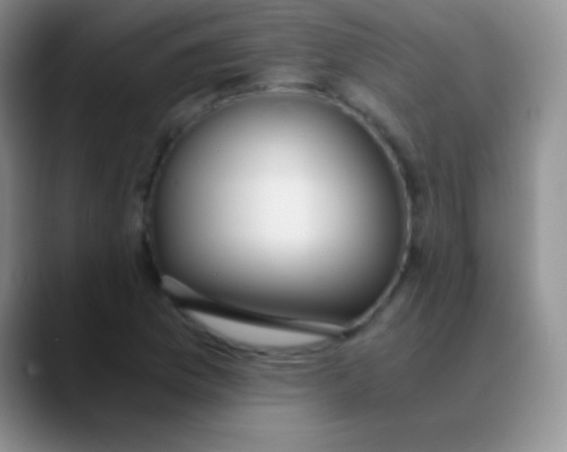 X0000089891169200707192009