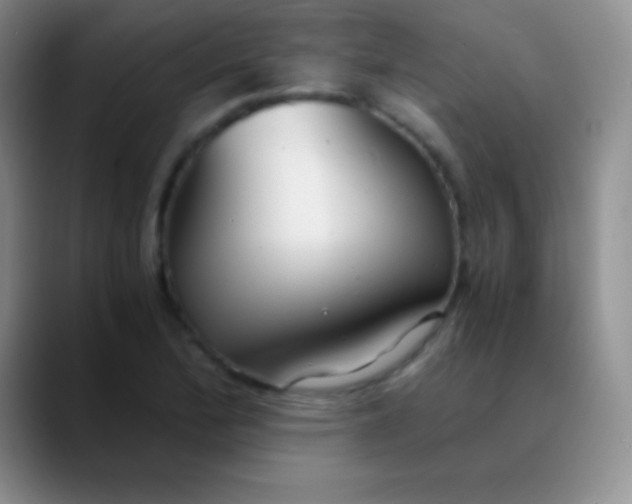 X0000089891172200707192009