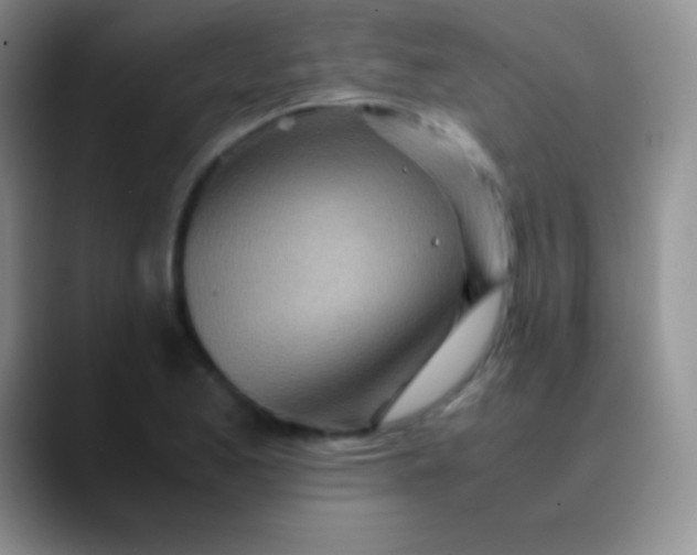 X0000089891173200707192009