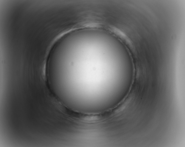 X0000089891174200707192009