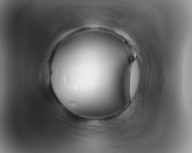 X0000089891175200707192009