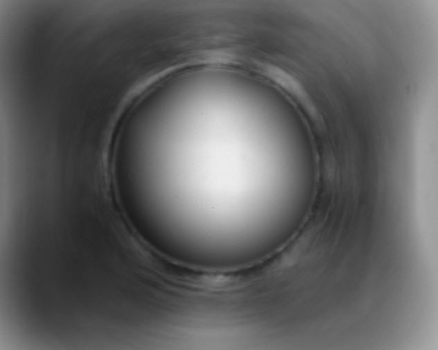 X0000089891176200707192009