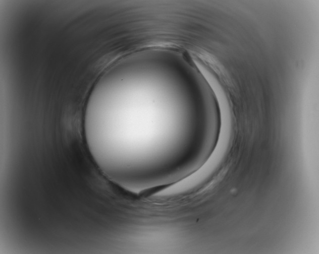 X0000089891177200707192009