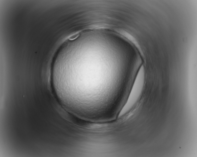 X0000089891179200707192009