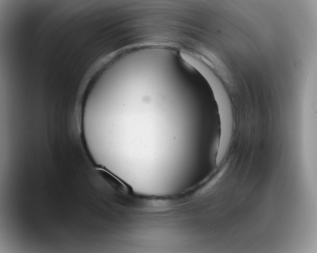 X0000089891180200707192009