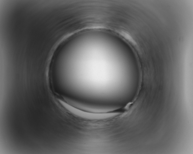 X0000089891181200707192009