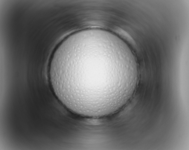 X0000089891182200707192009