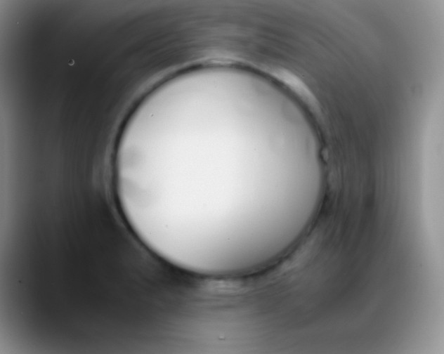 X0000089891183200707192009