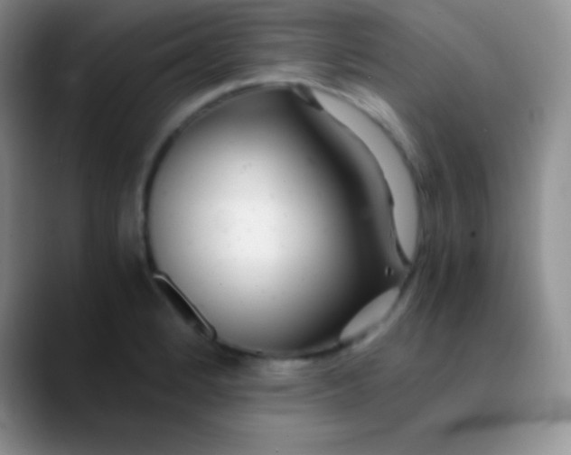 X0000089891184200707192009