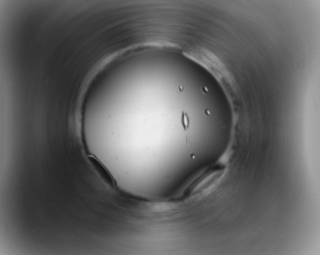 X0000089891188200707192009