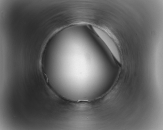 X0000089891189200707192009