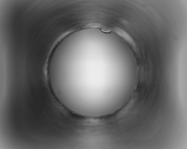 X0000089891190200707192009