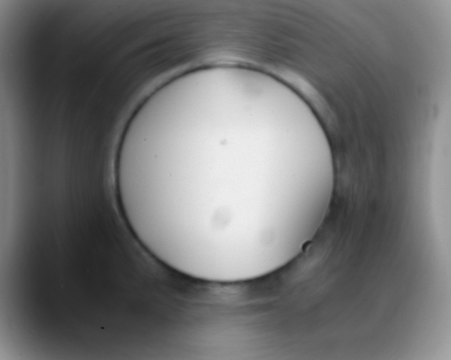 X0000089891191200707192009