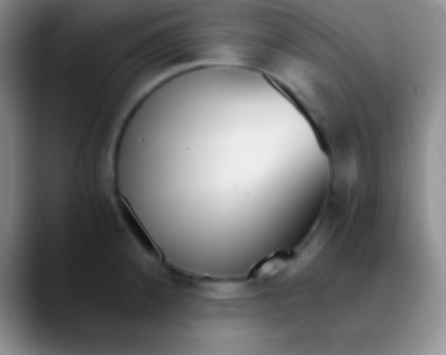 X0000089891192200707192009