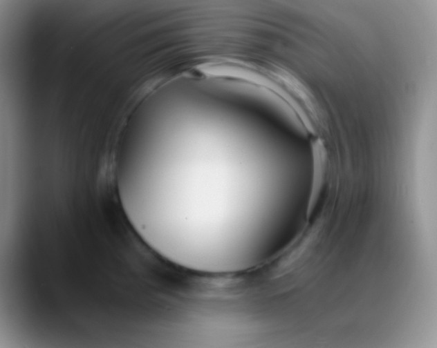 X0000089891193200707192009