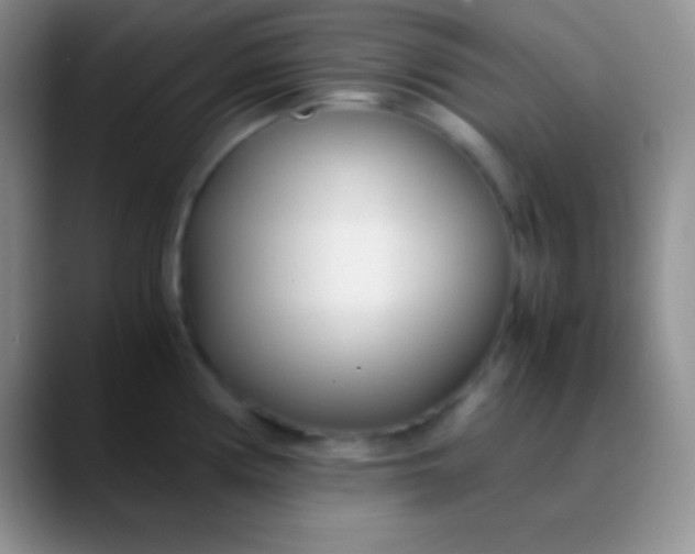 X0000089891194200707192009