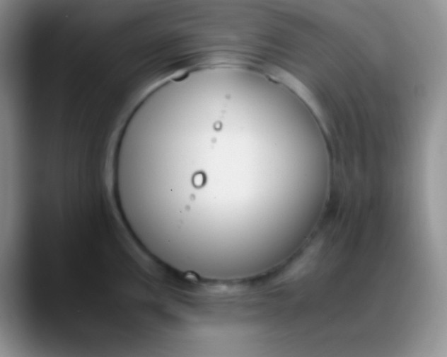 X0000089891195200707192009