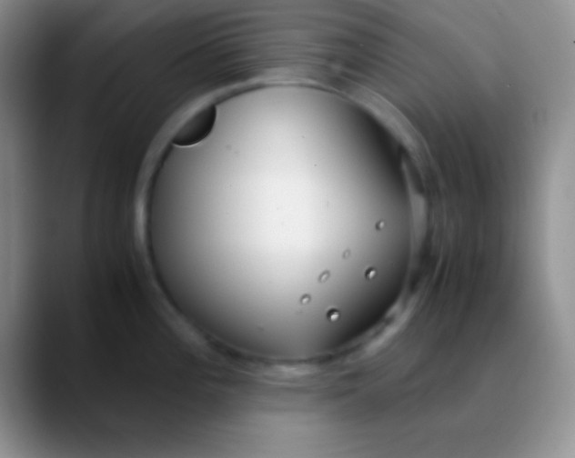 X0000089891196200707192009