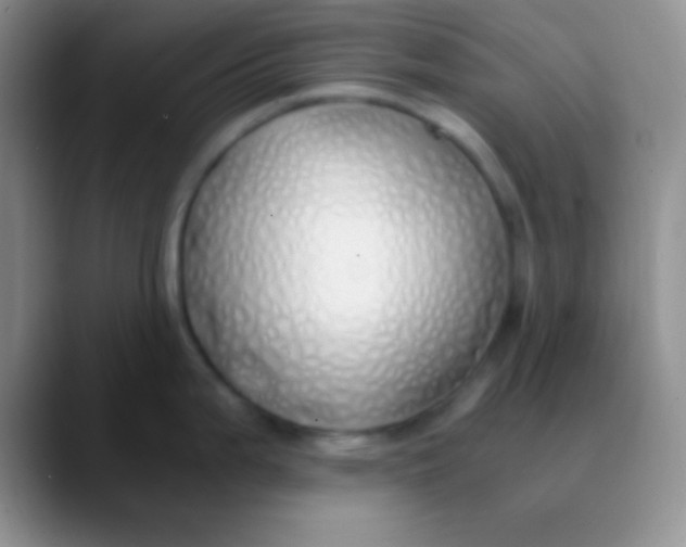 X0000089891199200707192009