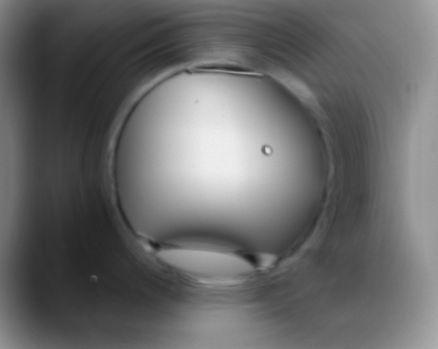 X0000089891200200707192009