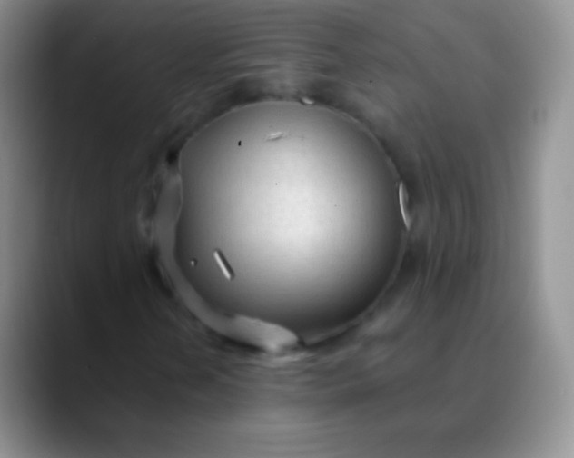 X0000089891202200707192008