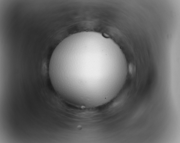 X0000089891203200707192008