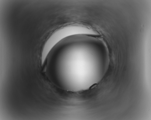 X0000089891206200707192008