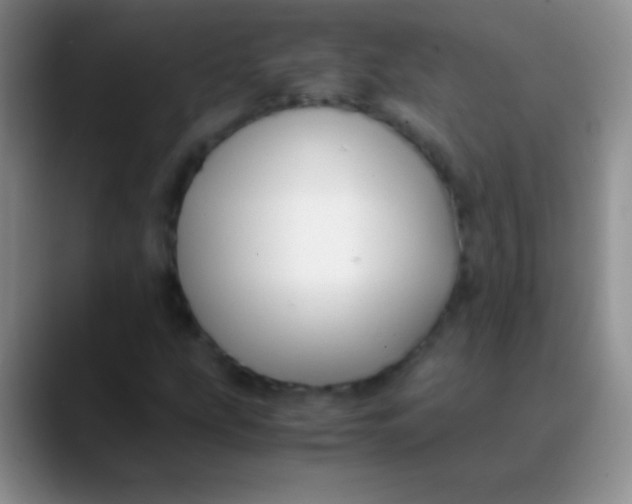 X0000089891207200707192008