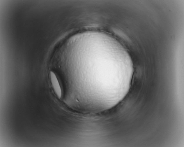 X0000089891208200707192008