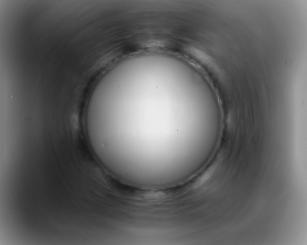 X0000089891209200707192008