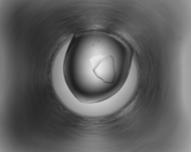 X0000089891210200707192008